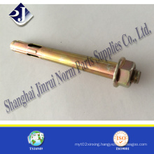 Made in China Low Price Anchor Bolt Bolt Anchor